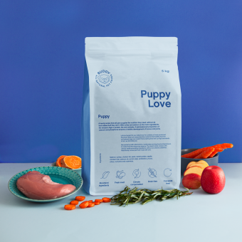 Buddy Puppy Love